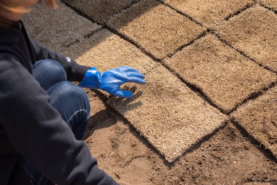 専門家の視点から最適なアドバイスをします