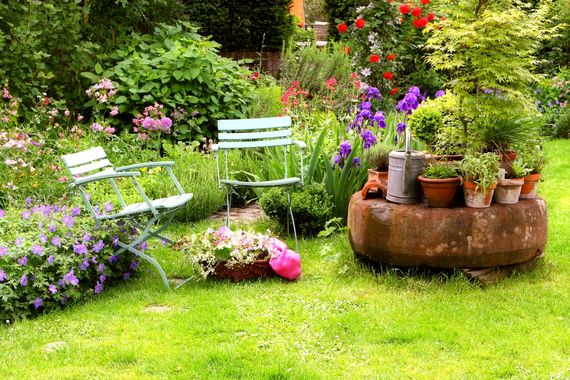 庭の樹木一本からでも綺麗にします